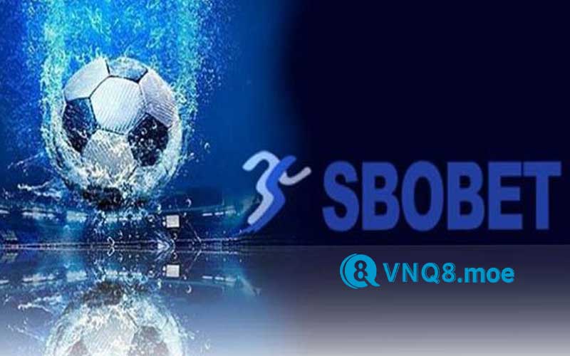 Đôi nét về sảnh SBO Sports Ở VNQ8