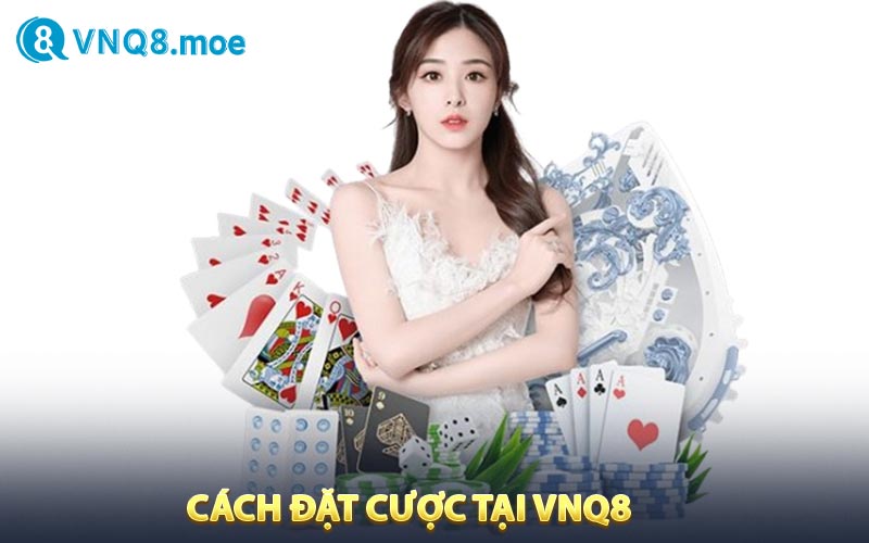 Cách đặt cược tại VNQ8