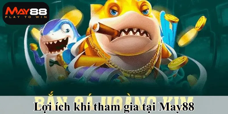 Lợi ích khi chơi tại May88