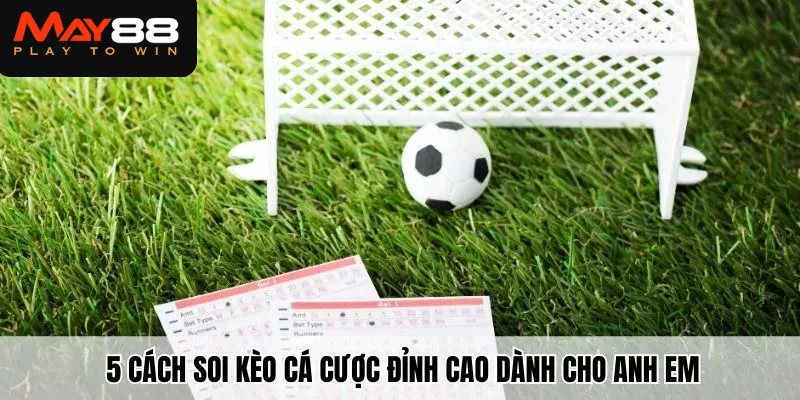 5 cách soi kèo bóng đá