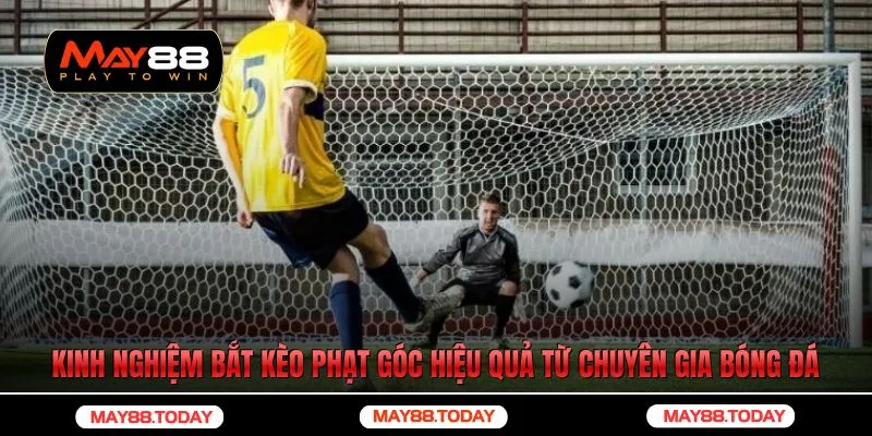 Kinh nghiệm bắt kèo phạt góc hiệu quả từ chuyên gia bóng đá