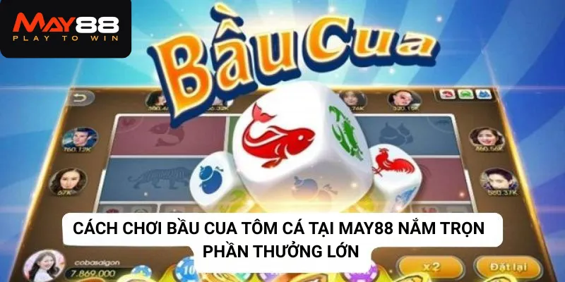 Cách chơi bầu cua tôm cá thắng lớn tại May88